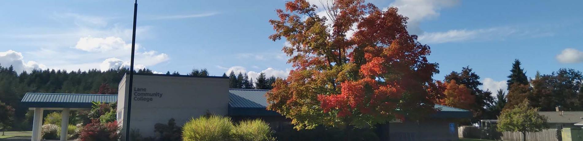 the cottage grove center, featuring a large tree in fall